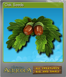 Series 1 - Card 5 of 5 - Oak Seeds