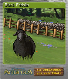 Series 1 - Card 1 of 5 - Black Fridolin