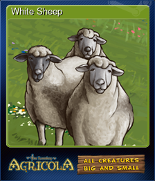 Series 1 - Card 2 of 5 - White Sheep