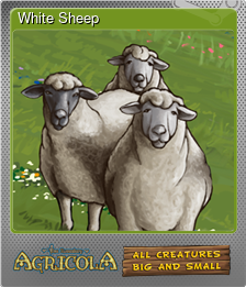 Series 1 - Card 2 of 5 - White Sheep