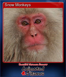 Series 1 - Card 8 of 9 - Snow Monkeys