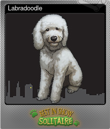 Series 1 - Card 7 of 7 - Labradoodle