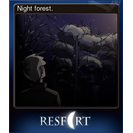 Night forest.