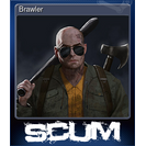 Brawler