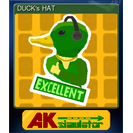 DUCK's HAT