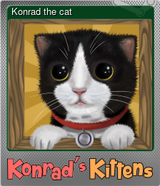 Series 1 - Card 7 of 8 - Konrad the cat