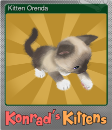 Series 1 - Card 5 of 8 - Kitten Orenda