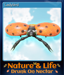 Ladybird