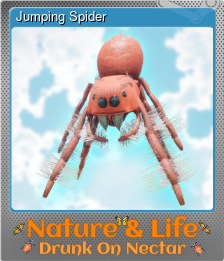 Series 1 - Card 3 of 5 - Jumping Spider