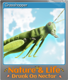 Series 1 - Card 5 of 5 - Grasshopper
