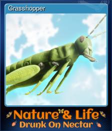 Grasshopper