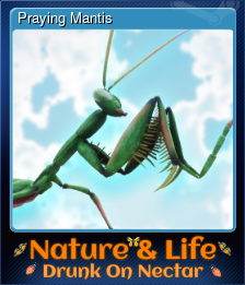 Praying Mantis