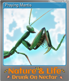 Series 1 - Card 2 of 5 - Praying Mantis