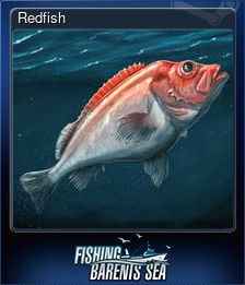 Series 1 - Card 3 of 11 - Redfish