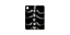 Bone Armor