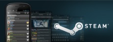 Steam Mobile Access