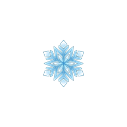 Shining Snowflake