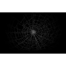 Spider Web