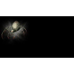 N2O Spider