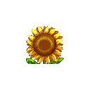 :12sunflower: