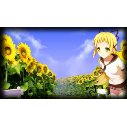 Garden of sunflowers (Profile Background)