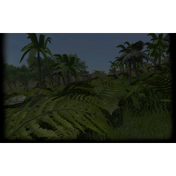 Rainforest (Profile Background)