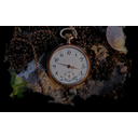 Tick (Profile Background)