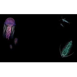 Bioluminescence