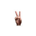 :victorypeacesign: