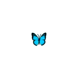 :bluebutterfly: