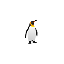 :zoopenguin:
