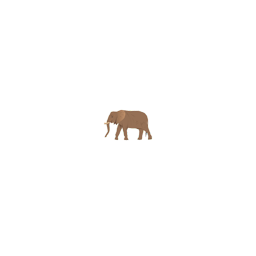 :zooelephant: