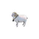 :cutesheep: