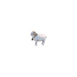 :cutesheep: