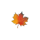 :autumn_leaf: