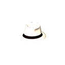 :whitehat: