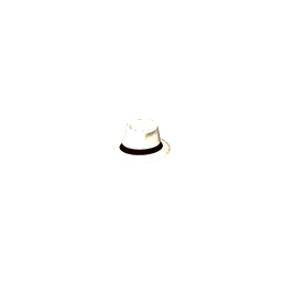 :whitehat: