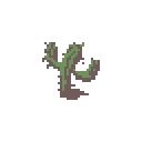 :cacti: