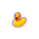 :rubberducky: