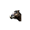 :horseshead: