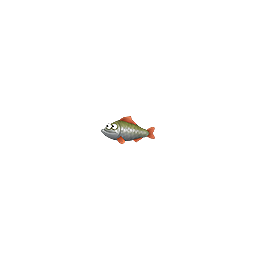 :invfish: