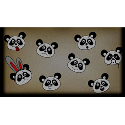 Pack of pandas