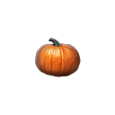 :_pumpkin_: