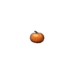 :_pumpkin_: