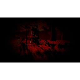 Nature (Profile Background)