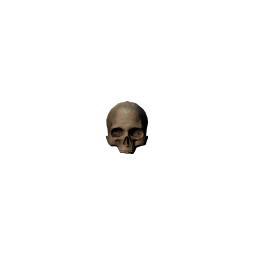 :doorways_skull: