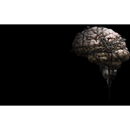 The Brain (Profile Background)