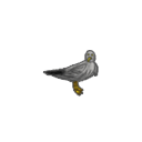 :resiseagull: