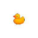 :ducky: