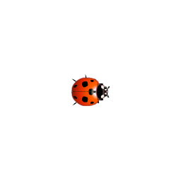 :ladybird: